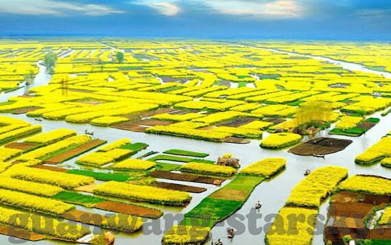 leyu乐鱼体育后备网址-探索leyu乐鱼体育后备网址的多样化功能与体验