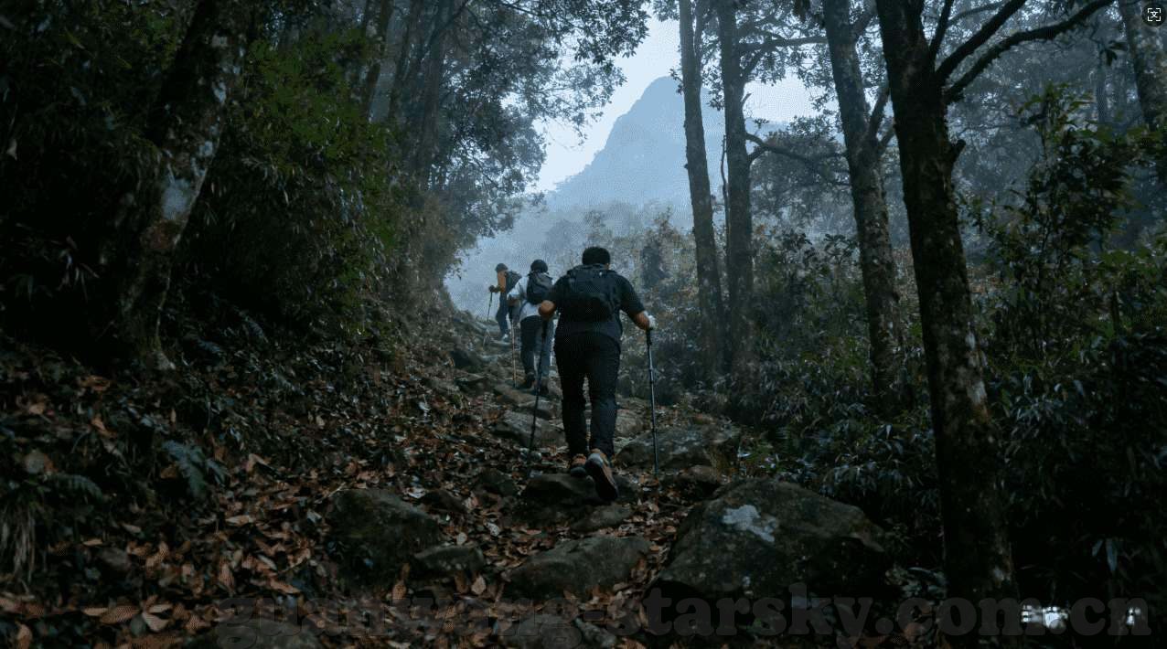 世界杯小组赛胜率分析-世界杯小组赛胜率分析，数据背后的故事